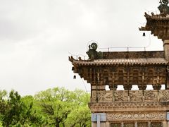 -北陵公园
