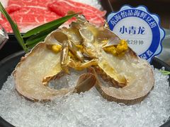 鲜活小青龙-东海怡品海鲜豆捞(舟宿夜江店)