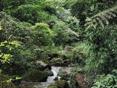 -赤水丹霞旅游区·佛光岩