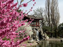 -国家植物园南园