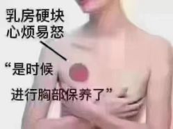 -香薇妮丝女子减肥院