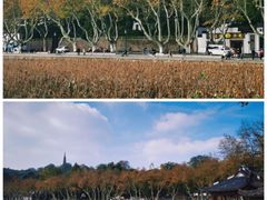 -北山街历史文化街区