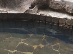 -龙达温泉生态城