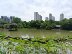 -金山公园