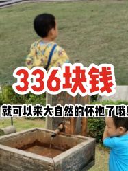 -前小桔亲子创意农场·草莓采摘·露营烧烤