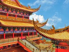 -东莞市大岭山森林公园