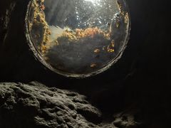 -珠海长隆海洋王国