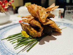 -醉辉皇上海之巅(上海中心大厦店)