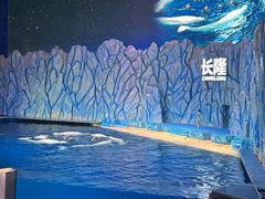 -珠海长隆海洋王国