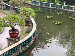 -碧江金楼