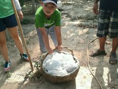 -马陆小张葡萄园农家乐