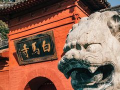 -洛阳白马寺