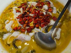 -佬肥猫(国华广场店)