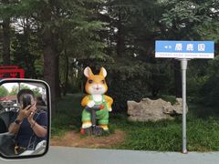 -日照海滨国家森林公园