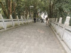 -成都老君山