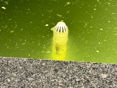 -DGE季风钓虾营地·团建·聚会