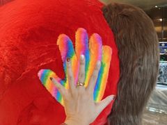 -北京泰富酒店-柏景轩中餐厅