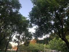 -火炉山森林公园