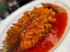 -丁老爷子苏香圆