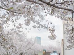 -龙美术馆西岸馆-停车场