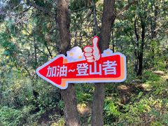 -磬锤峰森林公园