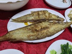 -蛇口康乐快餐鱼仔档(翠苑小区店)