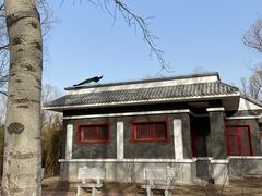 -北京麋鹿生态实验中心