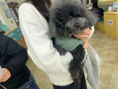 -美联众合动物医院·24h转诊中心