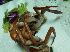 -友强·23年特色海鲜大排档(厦门店)