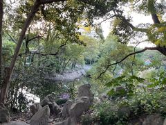 -叶家花园