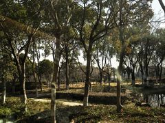 -上海市保健医疗中心