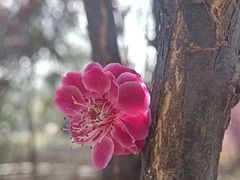 -西安世博园