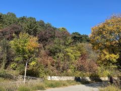 -北京西山国家森林公园