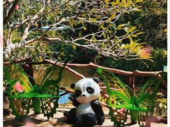 -海南热带野生动植物园