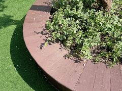 -上海马荣金地格林幼儿园