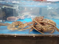 -盒马鲜生(宝地店)