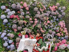 -HERRE·FARM 赫尔露营农场·团建聚会包场