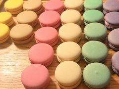 -味餐厅·海鲜·火锅·自助餐