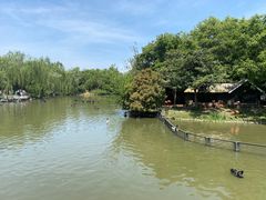 -扬州市茱萸湾风景区