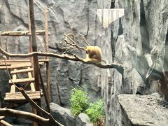 -武汉动物园