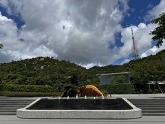 -景山公园
