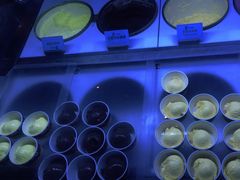 -星伦多自助料理(宝山龙湖天街店)