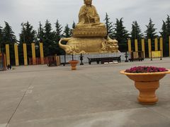 -法门文化景区