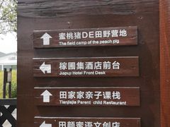 -田园东方蜜桃村的田野营地