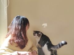 -滚猫咖啡·猫咖·猫友好撸猫(未来城店)