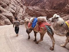 -天山神秘大峡谷