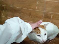-舒小笼松针小笼包