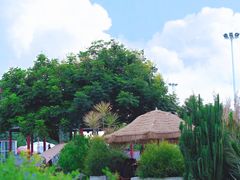 -巨鹏飞梦幻海岸