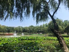 -必胜客(民乐园店)