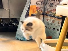-半岛宠物医院24小时(科华中路店)